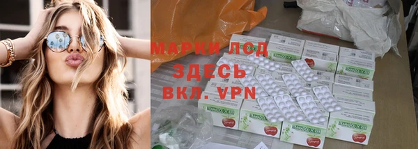 сатива Бронницы