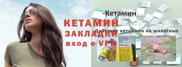 сатива Бронницы