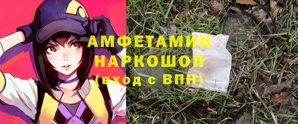 сатива Бронницы