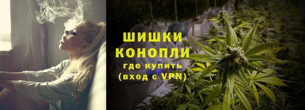 амф Бородино