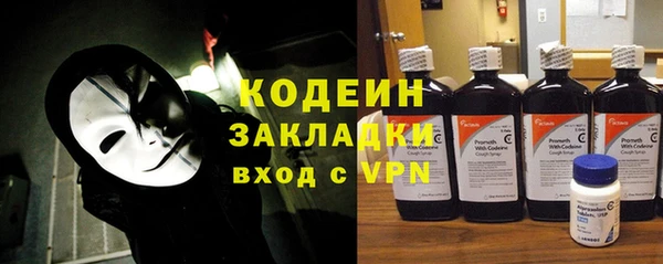 амф Бородино
