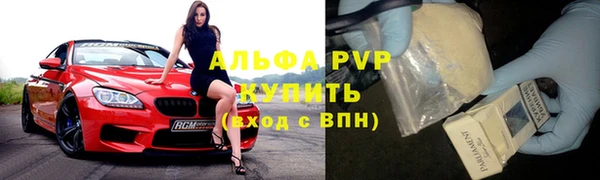 амф Бородино