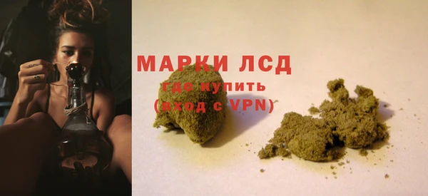 амф Бородино