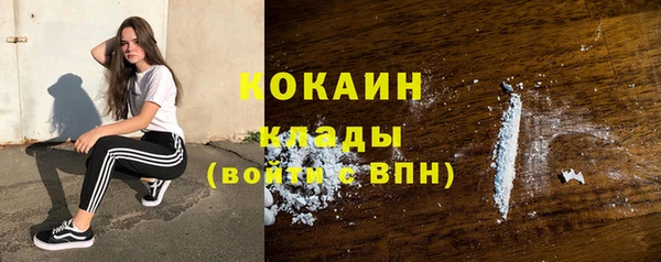 сатива Бронницы