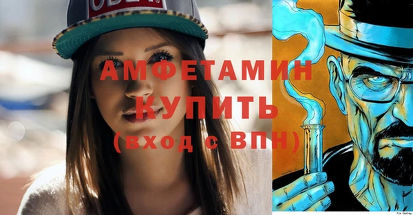 амф Бородино