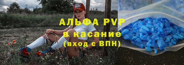 сатива Бронницы