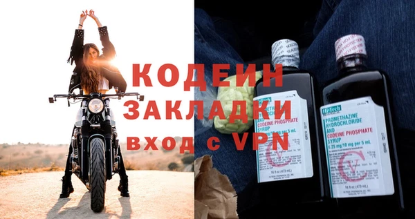 амф Бородино