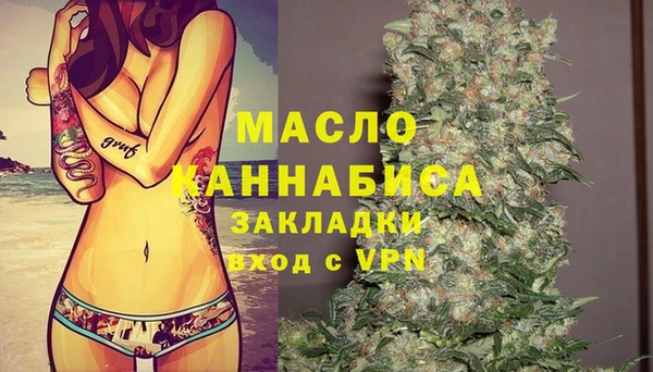 амф Бородино