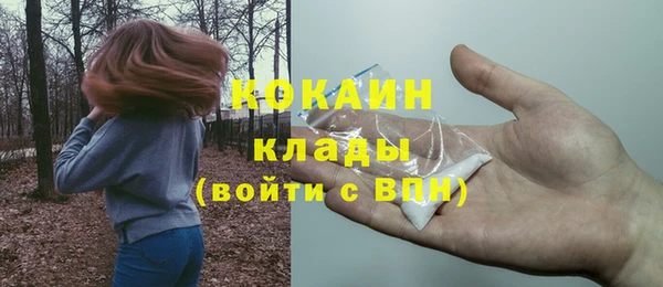сатива Бронницы